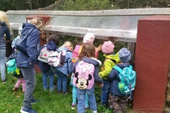 Wildtier und Artenschutzstation