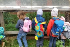 Wildtier und Artenschutzstation