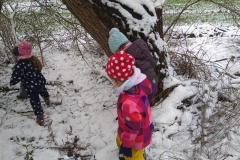 20220419_winterwald_1